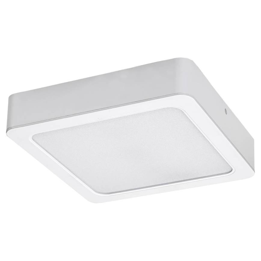 Rabalux - LED Stropní svítidlo LED/18W/230V 17 cm