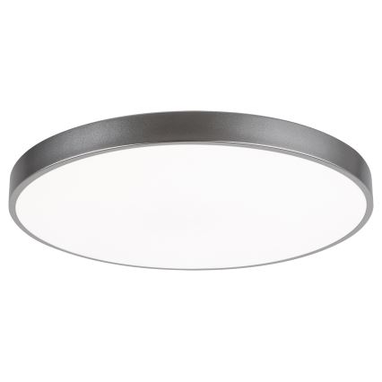 Rabalux - LED Stmívatelné stropní svítidlo LED/60W/230V 60 cm + DO