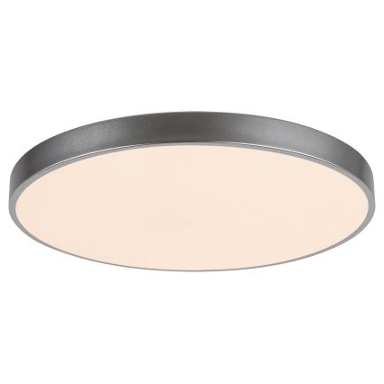 Rabalux - LED Stmívatelné stropní svítidlo LED/60W/230V 60 cm + DO