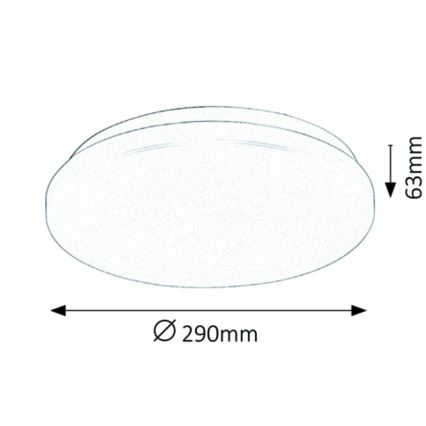 Rabalux - LED Stropní svítidlo 1xLED/20W/230V