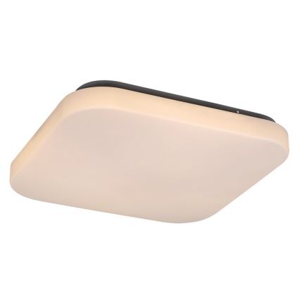 LED Stropní svítidlo ROB LED/20W/230V