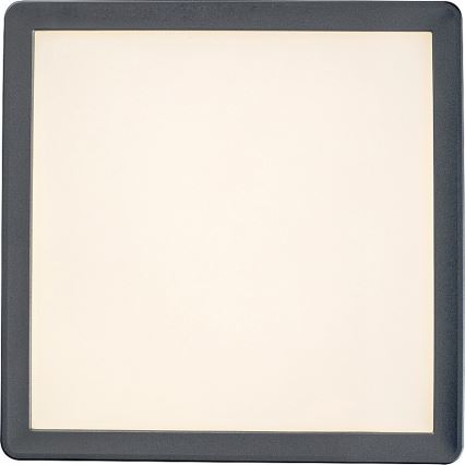 Rabalux - LED Koupelnové stropní svítidlo LED/15W/230V IP44