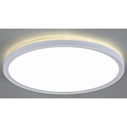 Rabalux - LED Stropní svítidlo LED/18W/230V