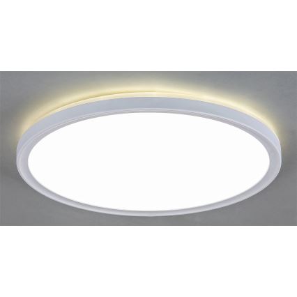 Rabalux - LED Stmívatelné stropní svítidlo LED/22W/230V