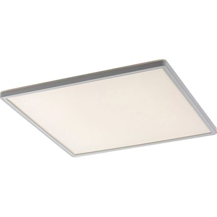 Rabalux - LED Stmívatelné stropní svítidlo LED/22W/230V