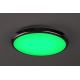 Rabalux - LED RGB Koupelnové stropní svítidlo LED/18W/230V pr. 30 cm 3000-6500K IP44 + dálkové ovládání