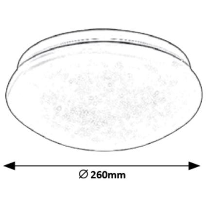 Rabalux - LED Stropní svítidlo LED/12W/230V