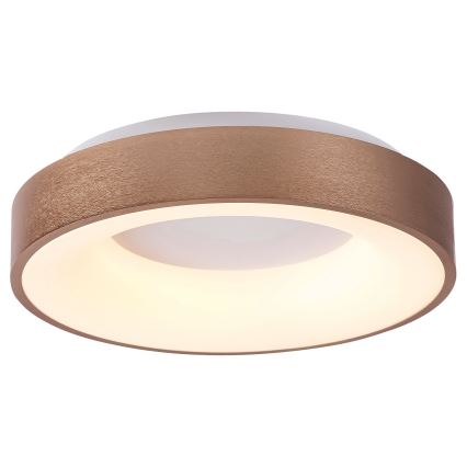 Rabalux 5052 - LED Stropní svítidlo CARMELA LED/30W/230V