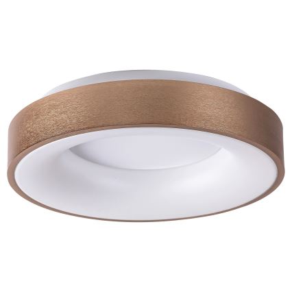 Rabalux 5052 - LED Stropní svítidlo CARMELA LED/30W/230V