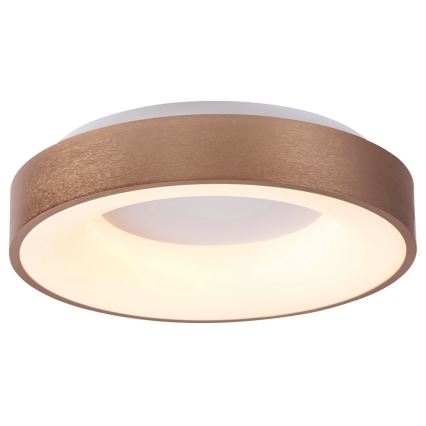 Rabalux 5053 - LED Stropní svítidlo CARMELA LED/50W/230V