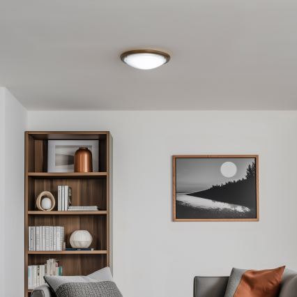 Rabalux - Stropní svítidlo 1xE27/60W/230V pr. 30 cm