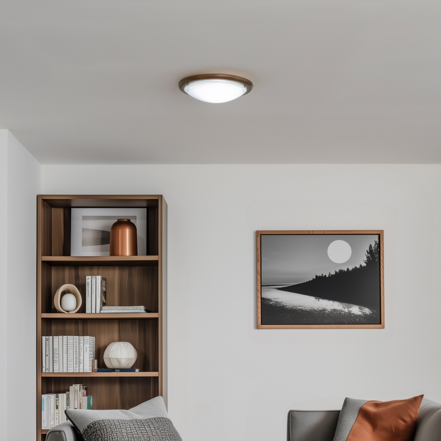 Rabalux - Stropní svítidlo 1xE27/60W/230V pr. 30 cm