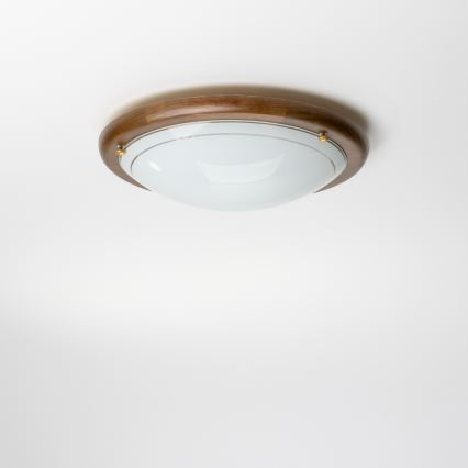 Rabalux - Stropní svítidlo 1xE27/60W/230V pr. 30 cm
