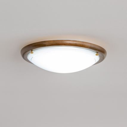 Rabalux - Stropní svítidlo 1xE27/60W/230V pr. 30 cm