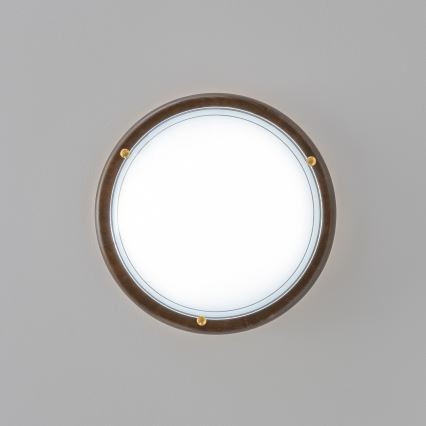 Rabalux - Stropní svítidlo 1xE27/60W/230V pr. 30 cm