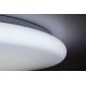 Rabalux - LED Stmívatelné stropní svítidlo LED/60W/230V + DO
