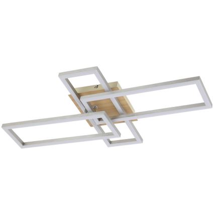 Rabalux - LED Stropní svítidlo LED/24W/230V