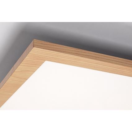 Rabalux - LED Přisazený panel LED/40W/230V 4000K