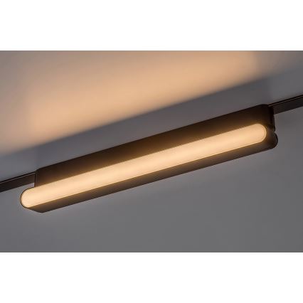 Rabalux - LED Stropní svítidlo do 1-fázového lištového systému LED/16W/24V 3000K 33 cm černá