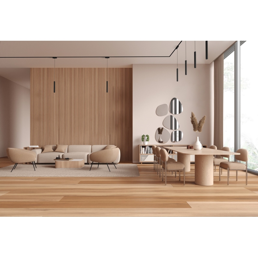 Rabalux - LED Lustr na lanku do 1-fázového lištového systému LED/5W/230V 3000K černá
