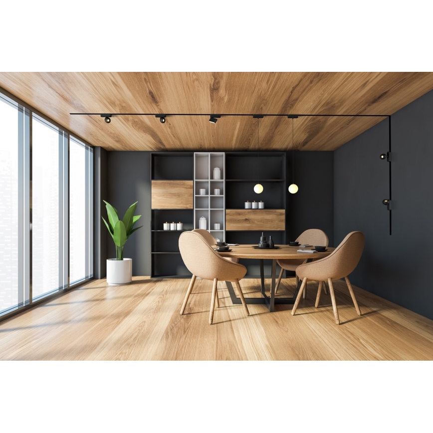 Rabalux - LED Stropní svítidlo do 1-fázového lištového systému LED/12W/24V 4000K 22 cm černá