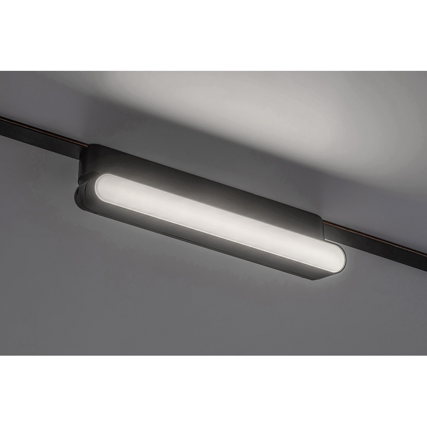 Rabalux - LED Stropní svítidlo do 1-fázového lištového systému LED/12W/24V 4000K 22 cm černá