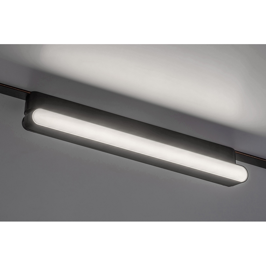 Rabalux - LED Stropní svítidlo do 1-fázového lištového systému LED/16W/24V 4000K 33 cm černá