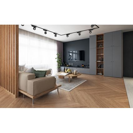 Rabalux - LED Bodové svítidlo do 1-fázového lištového systému LED/5W/24V 4000K černá