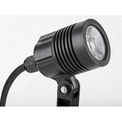 Rabalux - LED Venkovní lampa LED/3W/230V IP65