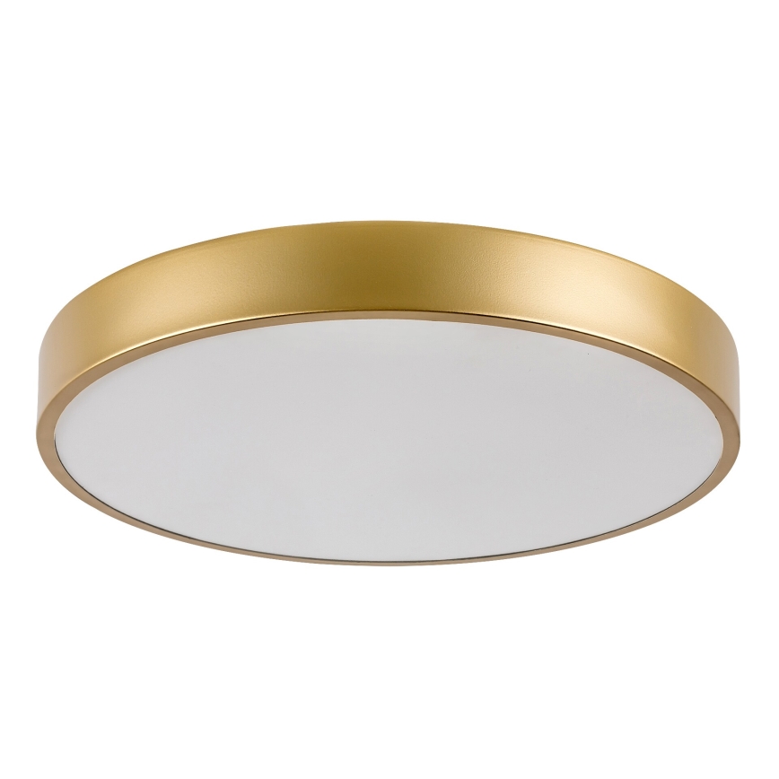 Rabalux - LED Stropní svítidlo LED/36W/230V 3000K