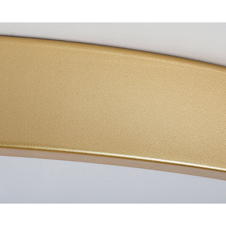 Rabalux - LED Stmívatelné stropní svítidlo LED/60W/230V 3000-6000K + dálkové ovládání