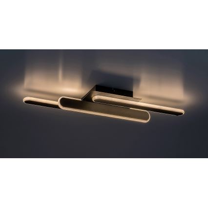 Rabalux - LED Stropní svítidlo LED/18W/230V 3000/4000K