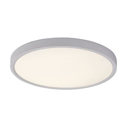 Rabalux - LED Stropní svítidlo LED/24W/230V 4000K pr. 30 cm bílá