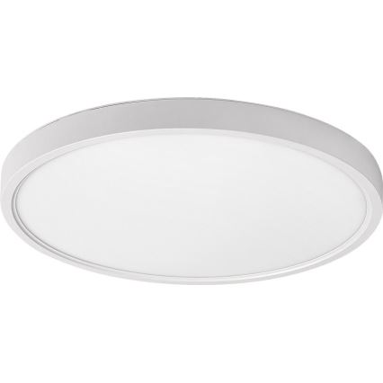 Rabalux - LED Stropní svítidlo LED/24W/230V 4000K pr. 30 cm bílá