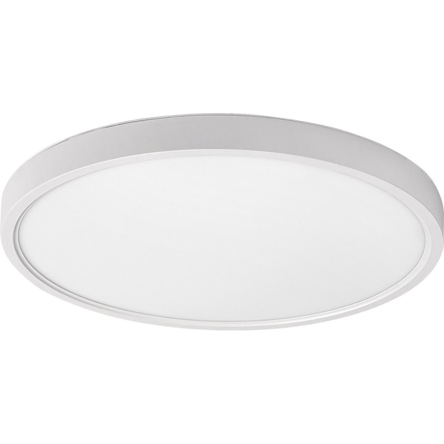 Rabalux - LED Stropní svítidlo LED/24W/230V 4000K pr. 30 cm bílá