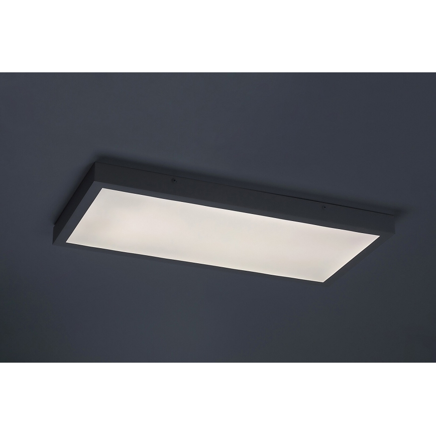Rabalux - LED Přisazený panel LED/24W/230V 4000K 60x30 cm