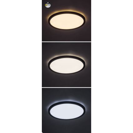 Rabalux - LED Stropní svítidlo LED/36W/230V 3000/4000/6000K pr. 50 cm černá