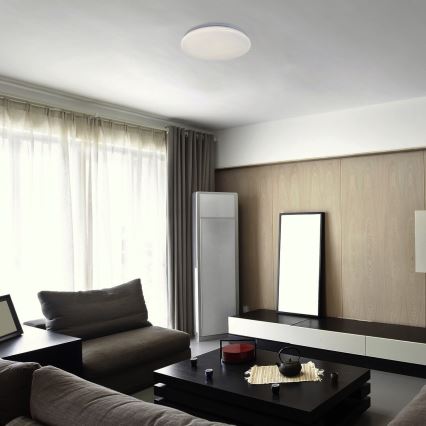 Rabalux - LED Stropní svítidlo LED/18W/230V 4000K 32 cm