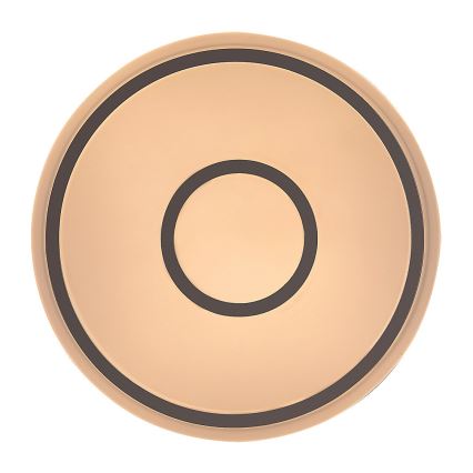 Rabalux - LED Stropní svítidlo LED/25W/230V 3000K