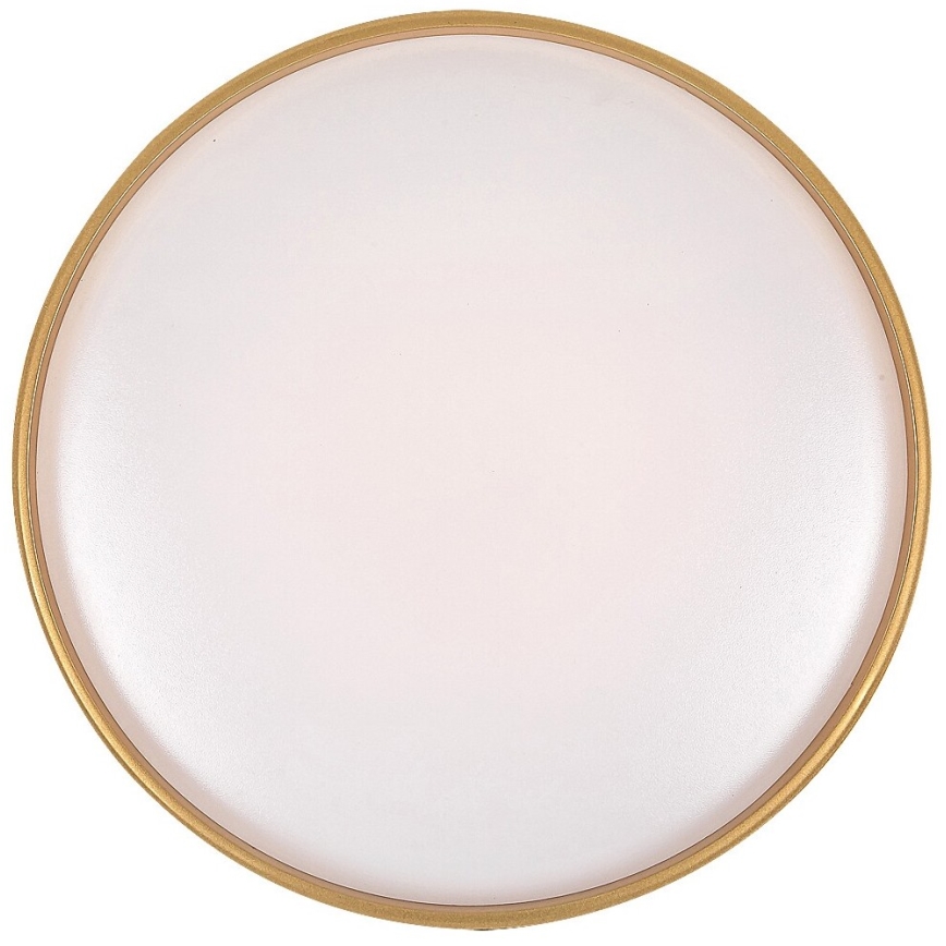 Rabalux - LED Stmívatelné stropní svítidlo LED/24W/230V 3000-6500K + dálkové ovládání