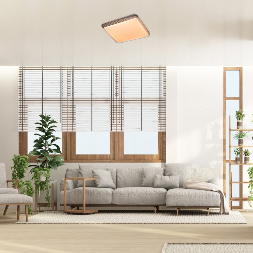 Rabalux - LED Stropní svítidlo LED/40W/230V 3000K