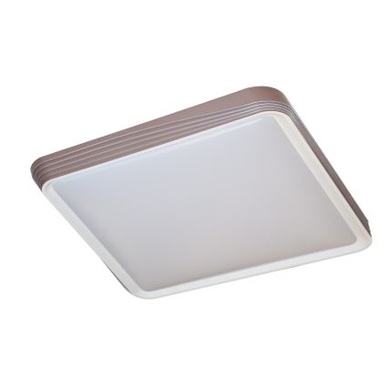 Rabalux - LED Stropní svítidlo LED/40W/230V 3000K