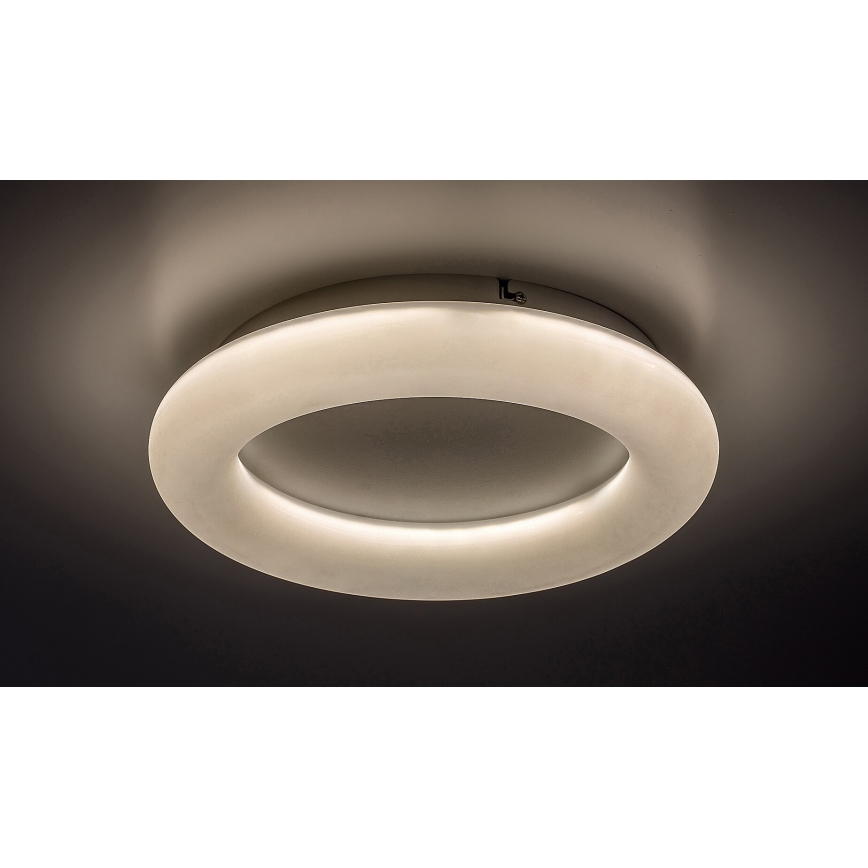 Rabalux - LED Stropní svítidlo LED/24W/230V 4000K pr. 33 cm bílá