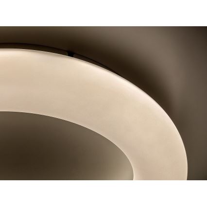 Rabalux - LED Stropní svítidlo LED/24W/230V 4000K pr. 33 cm bílá