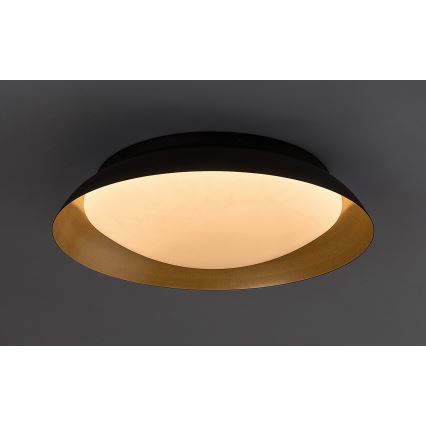 Rabalux - LED Stropní svítidlo LED/24W/230V 3000K pr. 40 cm