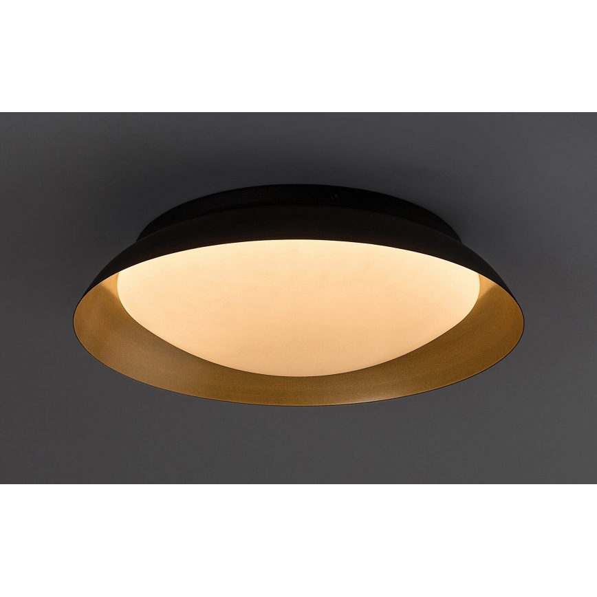 Rabalux - LED Stropní svítidlo LED/24W/230V 3000K pr. 40 cm