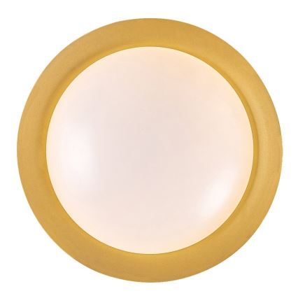 Rabalux - LED Stropní svítidlo LED/24W/230V 3000K pr. 40 cm
