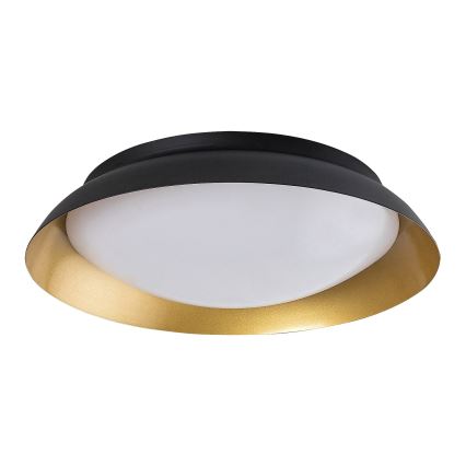 Rabalux - LED Stropní svítidlo LED/24W/230V 3000K pr. 40 cm