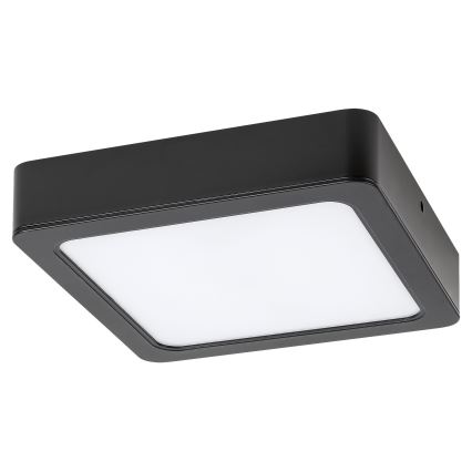 Rabalux - LED Stropní svítidlo LED/24W/230V 4000K 22x22 cm černá
