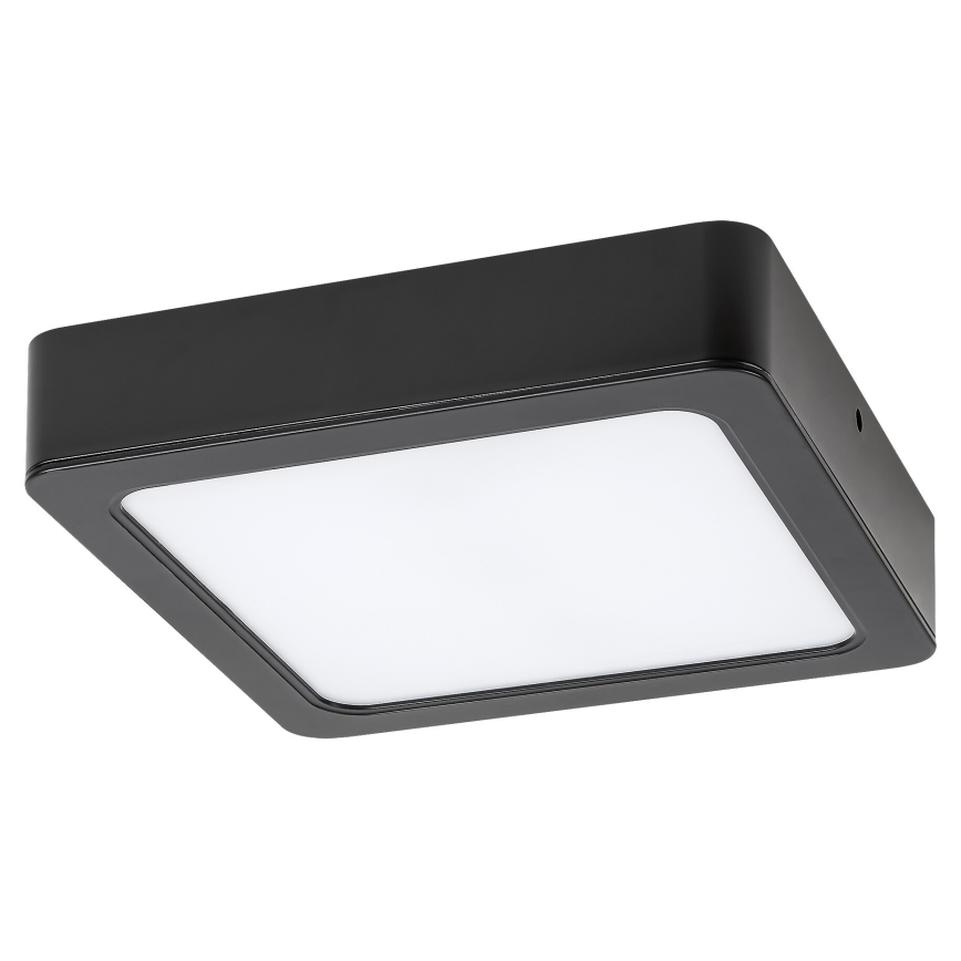 Rabalux - LED Stropní svítidlo LED/24W/230V 4000K 22x22 cm černá